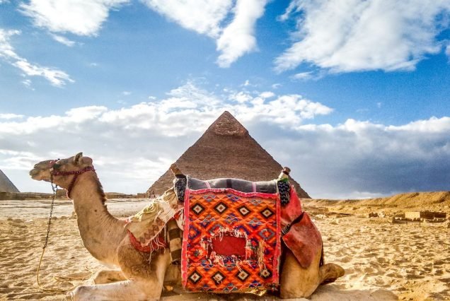 Giza Pyramids and Sakkara Tour