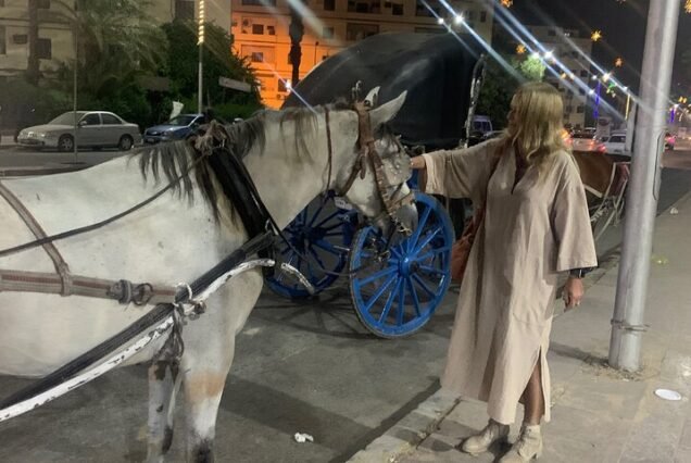 Luxor City tour by Horse Carriage